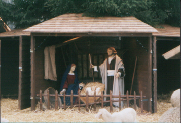 Weihnachtskrippe mit lebenden Tieren, vor dem 
Münster in Ulm, dem höchsten Kirchturm der Welt,
am Weihnachtsmarkt im Dezember 2000